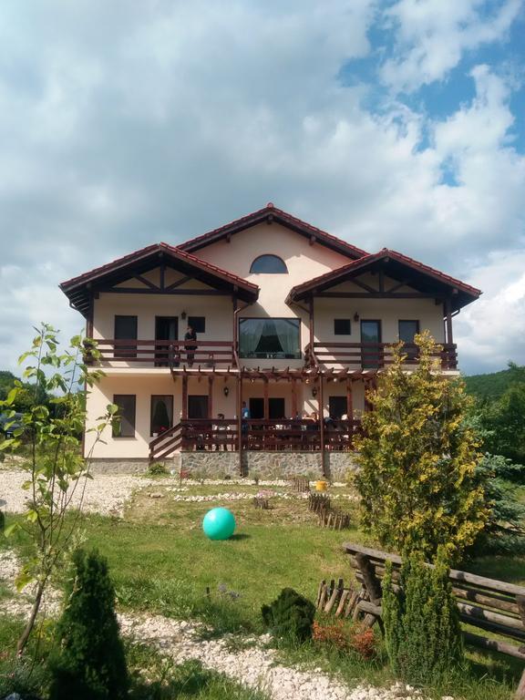 Pensiunea Margareta Budeasa Mică Екстериор снимка